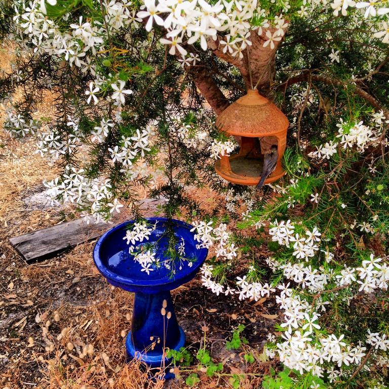 Wilderness House Bed & Breakfast Margaret River Oda fotoğraf