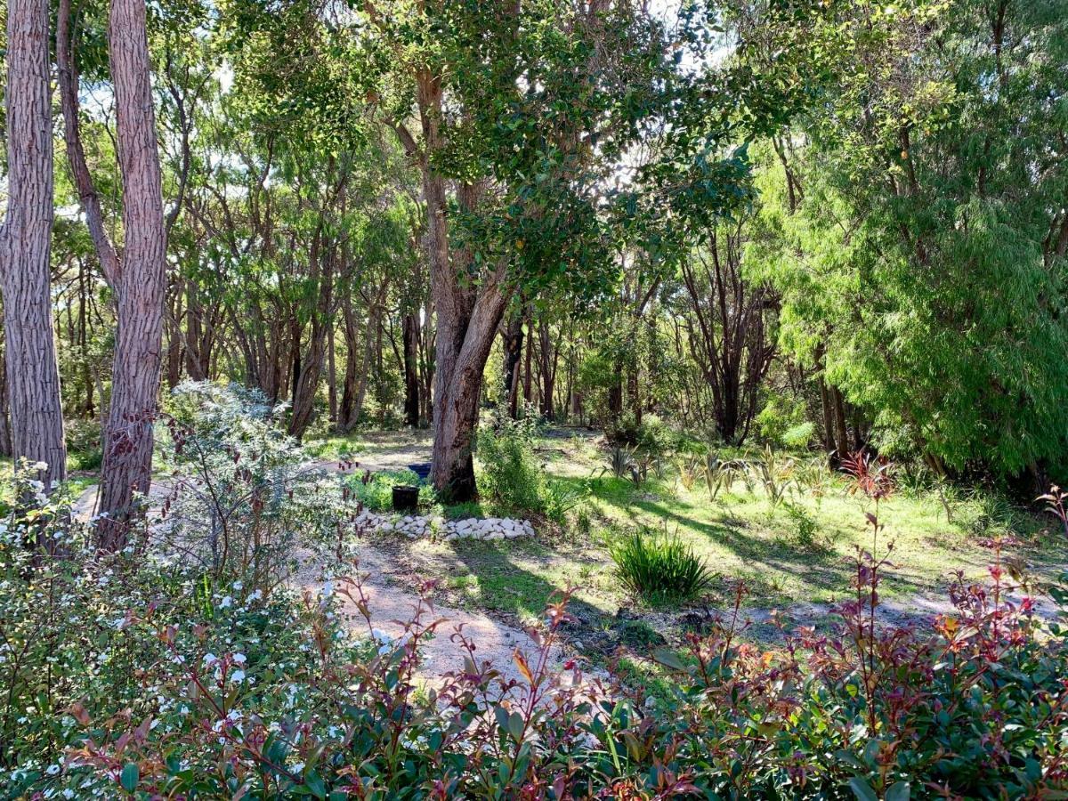 Wilderness House Bed & Breakfast Margaret River Dış mekan fotoğraf